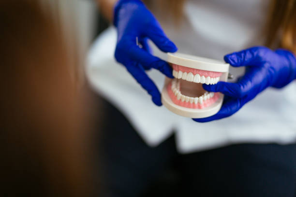 Reliable Woodville, AL  Holistic Dental Services Solutions